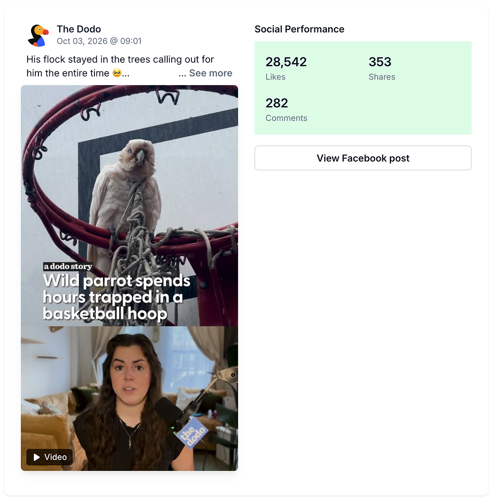 viral video reel post from the dodo
